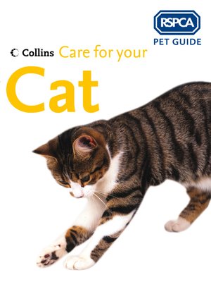 Care for your Cat - ebook